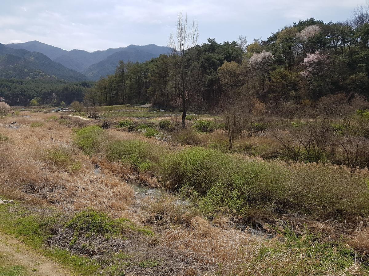 Namwon Hotel エクステリア 写真